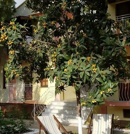 Hotel ılkiz